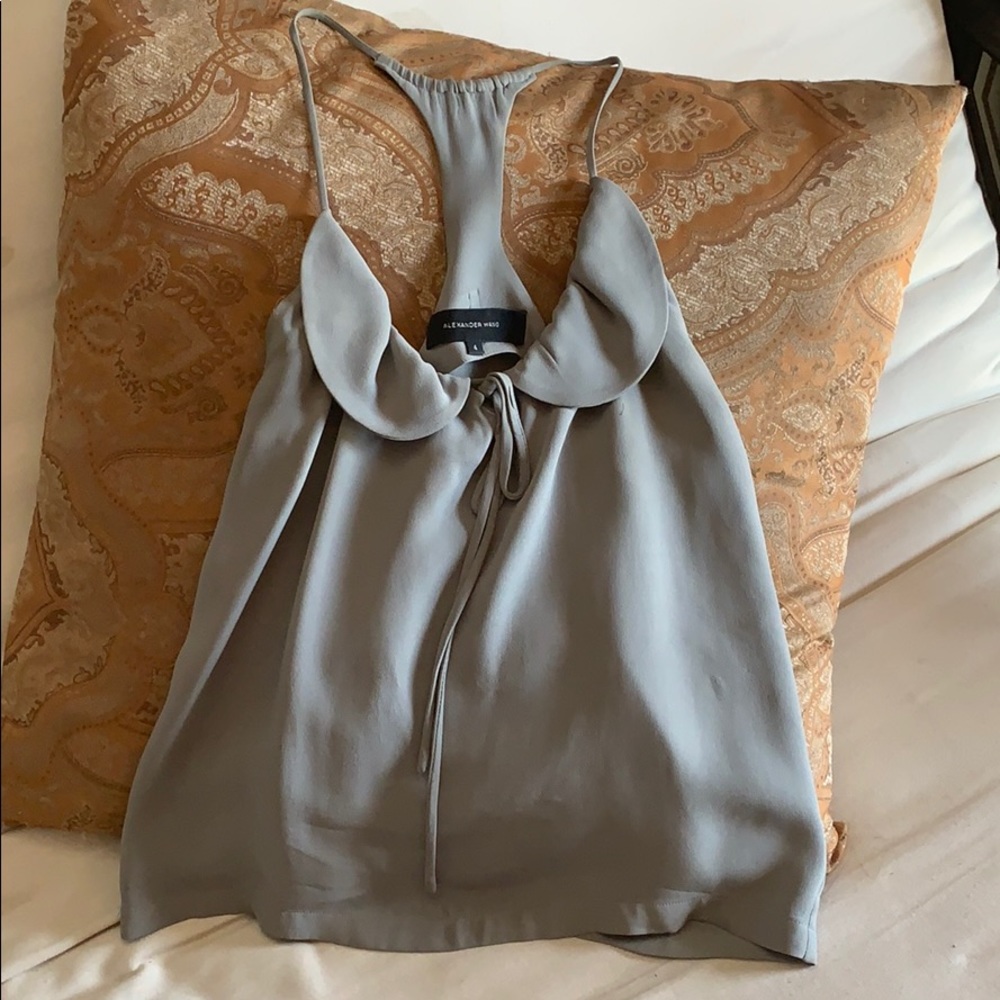 Beautiful top by designer Alexander Wang